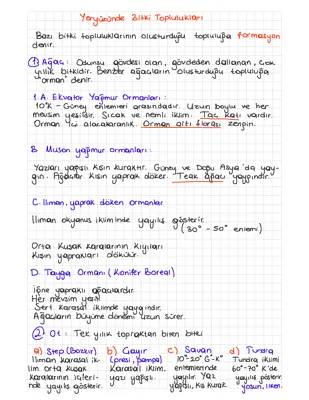 10. Sınıf Bitki Toplulukları ve Türleri: Ağaç, Çalı ve Otlar