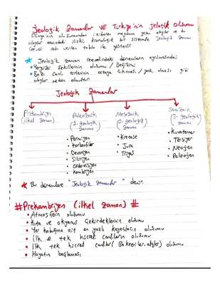 Türkiye'nin Jeolojik Yapısı ve 1. 2. 3. 4. Jeolojik Zamanlar