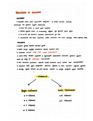 Vitaminler ve Hormonlar: Organik mi? Enerji Verir mi? Özellikleri ve Görevleri