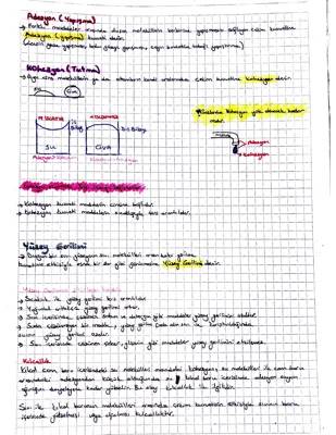 Adezyon ve Kohezyon Nedir? Yüzey Gerilimi ve Kılcallıkla İlgili Örnekler