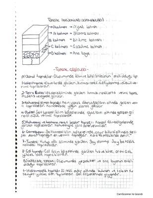 Toprak Horizonları ve Özellikleri: 10. Sınıf Öğrencileri İçin Kapsamlı Rehber