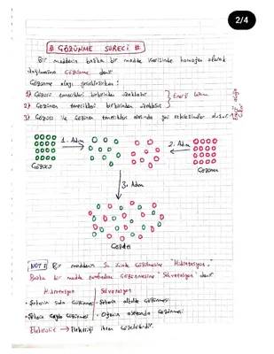 10. Sınıf Kimya: Çözeltiler, Çözünme ve Moleküller PDF