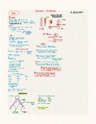 DNA ve RNA Görevleri: mRNA, tRNA, ve Protein Sentezi