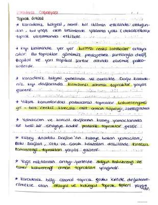 Türkiye'deki Toprak Tipleri ve Özellikleri: Karadeniz, Doğu Karadeniz ve Daha Fazlası