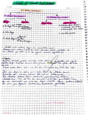 Merkezi Sinir Sistemi ve Beyin: Organlar, Görevler ve Bölgeler