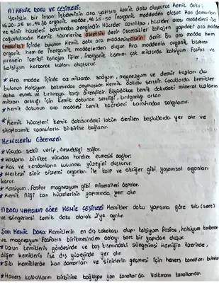 11. Sınıf Destek ve Hareket Sistemi Özet PDF: Kemik ve İskelet Sistemi