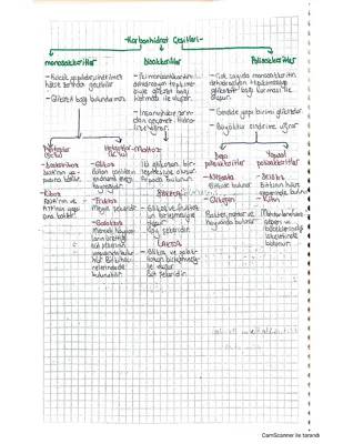 9. Sınıf Biyoloji: Karbonhidratlar ve Organik Bileşikler Özeti