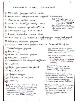 Canlıların 7 Ortak Özelliği ve Hücresel Yapı - 3. ve 9. Sınıf Biyoloji Notları