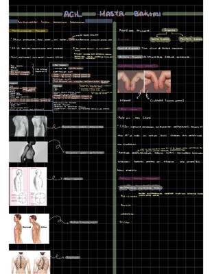 Kardiyovasküler Muayene PDF ve Santral Venöz Kateter Nedir