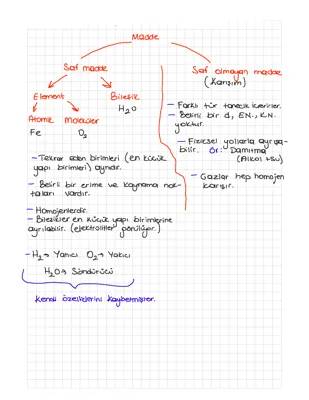 10. Sınıf Biyoloji ve Kimya Özet PDF - Kolay Ders Notları