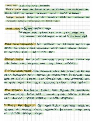 Kardiyak Output ve Solunum Yetmezliği: Nedir ve Nasıl Hesaplanır?