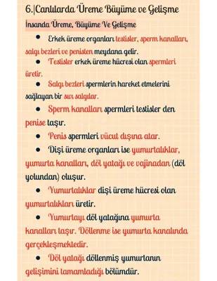 7. Sınıf Canlılarda Üreme, Büyüme ve Gelişme Konu Anlatımı PDF