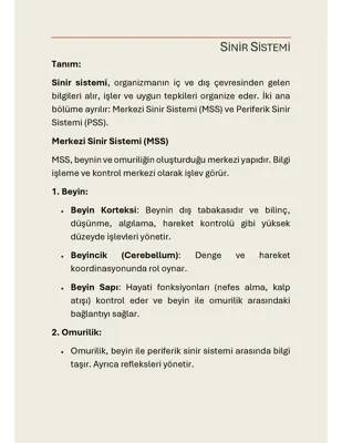 11. Sınıf Biyoloji: Sinir Sistemi Özeti ve Notları PDF