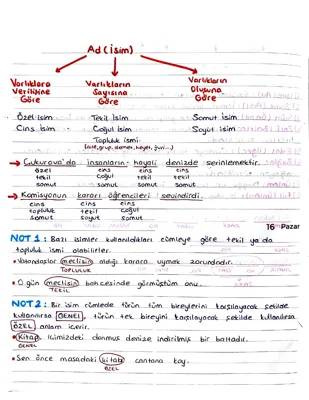 6. Sınıf Türkçe: İsimler Testi ve Konu Anlatımı PDF