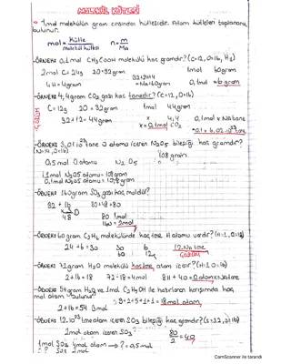 10. Sınıf Kimya: Mol Kavramı ve Molekül Kütlesi Soruları ve Çözümleri PDF