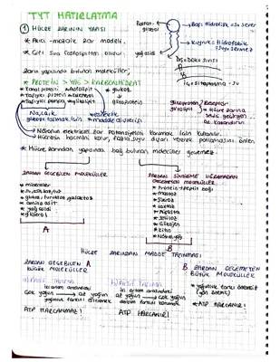 Hücre Zarı ve Madde Geçişleri: 9. Sınıf Biyoloji Özet