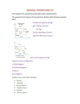 11. Sınıf Kimyasal Tepkimelerde Hız Konu Anlatımı ve PDF