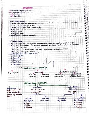 Duyu Organları ve Bağ Doku - Göz, Deri, Epitel ve Bağ Doku Çeşitleri 6. ve 11. Sınıf PDF