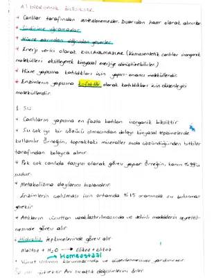 İnorganik ve Organik Kimya: İnorganik Bileşikler ve Özellikleri 9. Sınıf Biyoloji