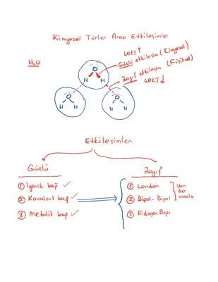 9. Sınıf Kimya: Kimyasal Türler Arası Etkileşimler ve Bağlar