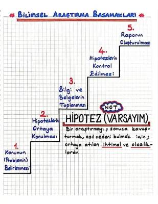 Bilimsel Araştırma Basamakları ve Örnekleri 6. Sınıf - Nasıl Yapılır?