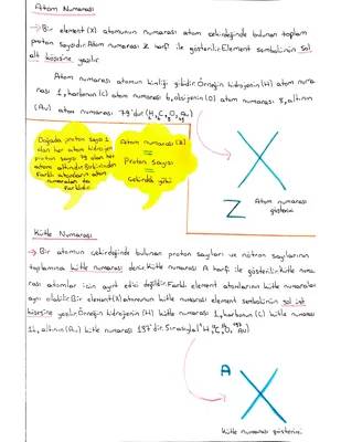 Atom Numarası ve Kütle Numarası Nasıl Bulunur? Proton, Nötron, Elektron Yerleri