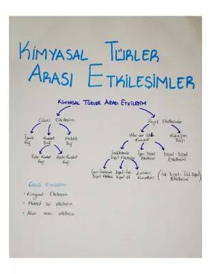 Kimyasal Türler Arası Etkileşimler ve Elektroliz: 9. Sınıf Kimya PDF