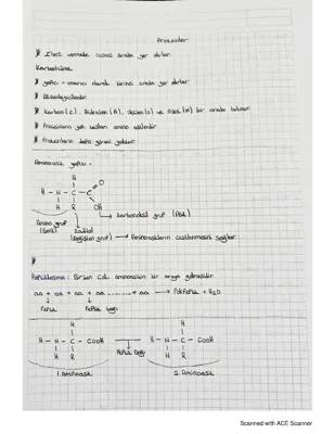 9. Sınıf Biyoloji: Proteinler ve Vitaminler Konu Anlatımı PDF