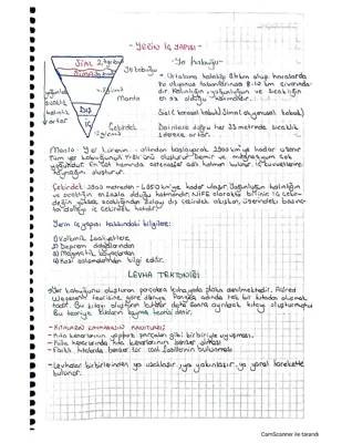 Dünya'nın İç Yapısı ve Levha Tektoniği: 10. Sınıf Coğrafya