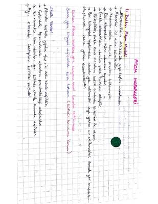 Dalton, Thomson, Rutherford ve Bohr Atom Modelleri 9. Sınıf: Eksiklikler ve Özellikler