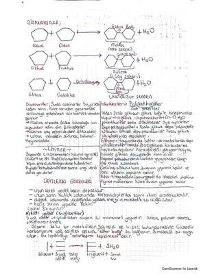 9. Sınıf Biyoloji: Organik Bileşikler, Karbonhidratlar ve Lipitler