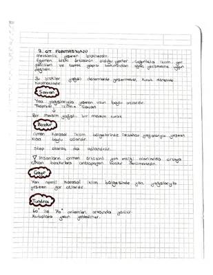 Bitki Formasyonları ve İklimler: Ağaçlar, Otlar, Maki ve Daha Fazlası