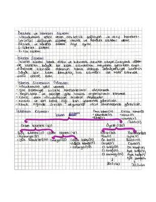 Destek ve Hareket Sistemi: 6. ve 11. Sınıf Konu Anlatımı ve Özet PDF