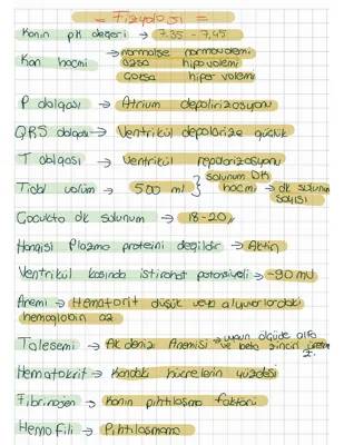 Fizyoloji Ders Notları PDF ve Özetler - Solunum Sistemi ve Hemostaz Nedir