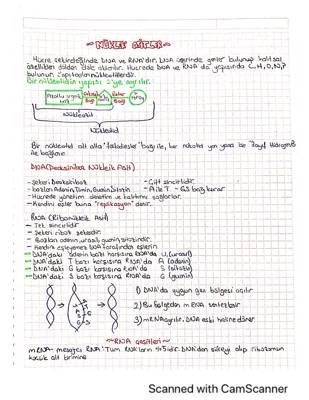 9. Sınıf Biyoloji: Nükleik Asitler, DNA ve RNA Konu Anlatımı PDF