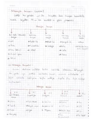 10. Sınıf Kimya: Homojen ve Heterojen Karışımlar PDF