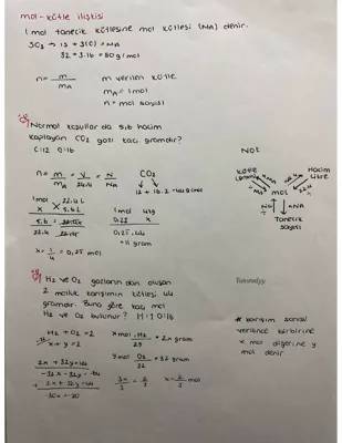 10. Sınıf Kimya Mol Kavramı Soruları ve Çözümleri PDF