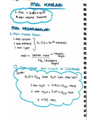 10. Sınıf Kimya: Mol Kavramı Özet ve PDF Test