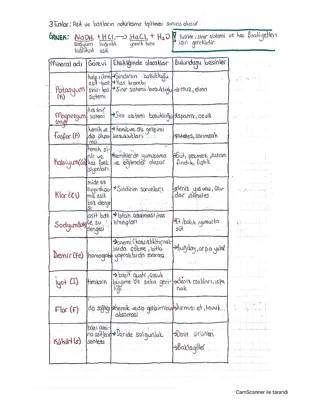 Minerallerin Vücuttaki Görevleri ve Eksiklik Belirtileri - 4. ve 9. Sınıf Biyoloji Notları