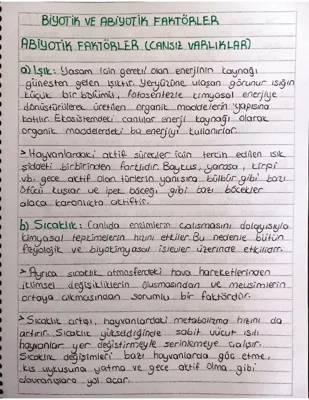 Biyotik ve Abiyotik Faktörler: Nedir, Örnekler ve Ekosisteme Etkileri