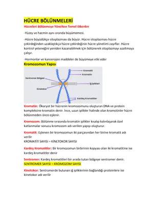 10. Sınıf Hücre Bölünmesi ve Hücre Döngüsü Konu Anlatımı - PDF İndir