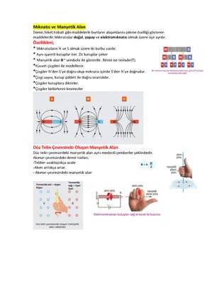 10. Sınıf Fizik: Mıknatıslar ve Manyetik Alan Konu Anlatımı PDF