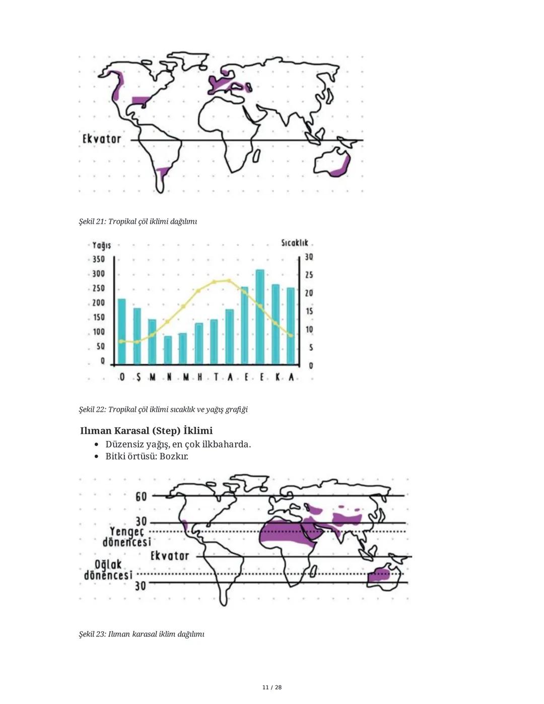 TYT Coğrafya El Yazısı Ders Notları Özeti
1. Coğrafyanın Tanımı ve Alt Dalları
Coğrafya, insan tarafından yapılmış sistemleri ve doğal olara