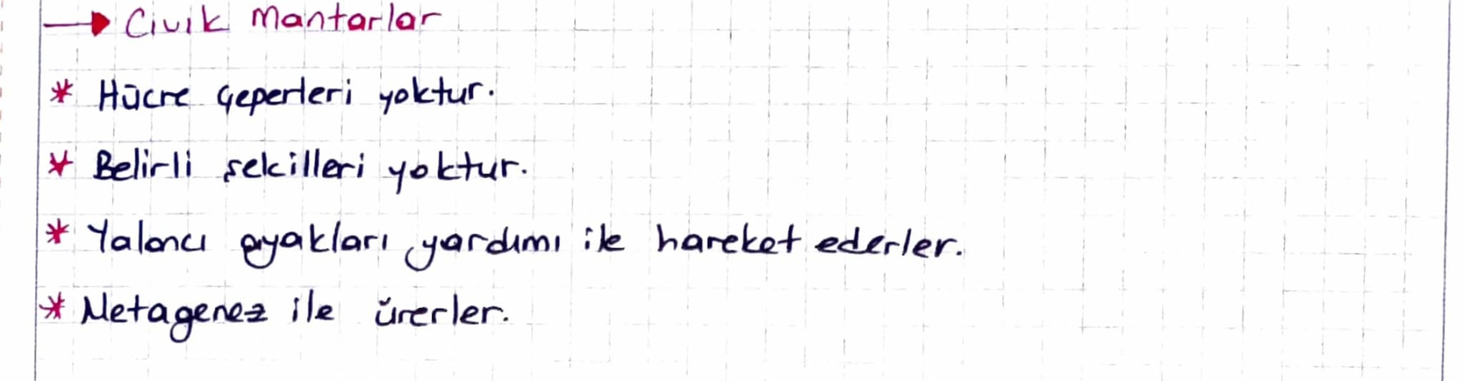 3. PROTISTALAR.
* Ökaryot hücre yapısında tek ya da çok hücreli canlılardır.
Kamalılar
Silliler
Kök Ayaklılar
Sporlular
Algler
Civik mantar
