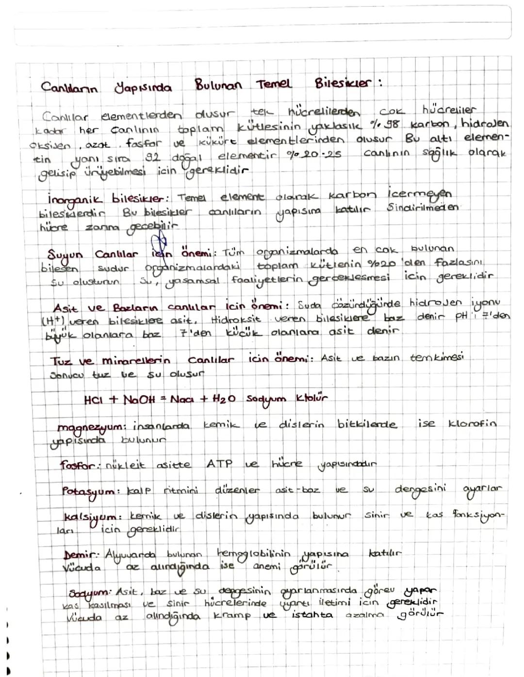 Canlıların Temel Bileşenleri: Proteinler, Yağlar ve Karbonhidratlar