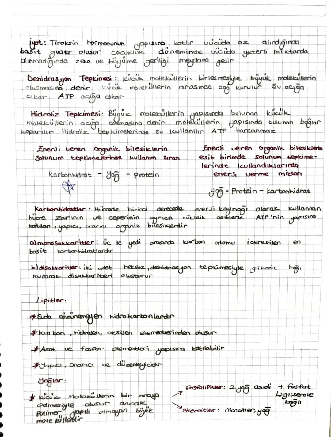 Bilesikler:
COK hücreliler
% 98 karbon, hidrojen
Olusur Bu alti elemen-
tek hücrelilerden
dusur
kütlesinin
Canllanın Yapısında
Bulunan Temel