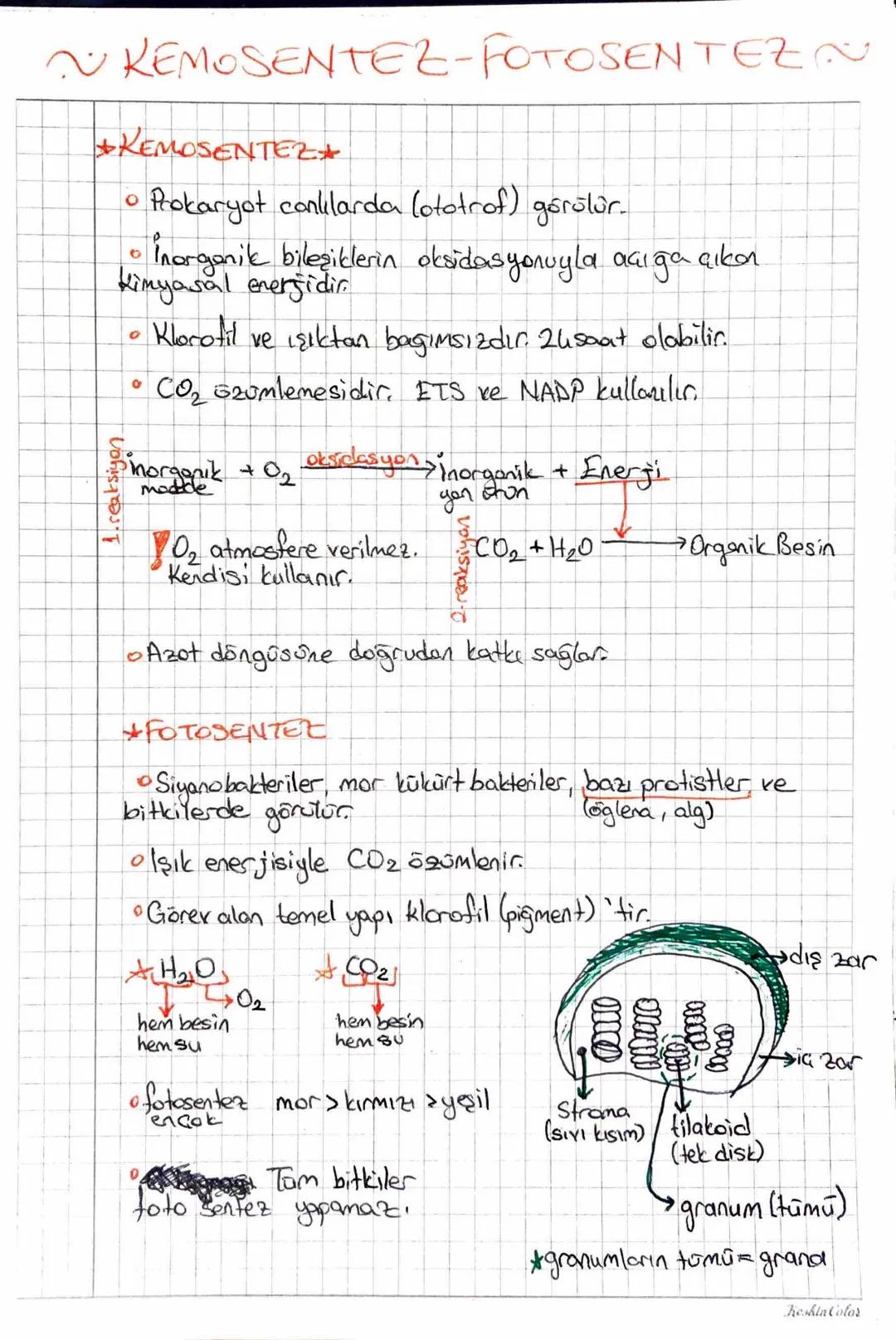 KEMOSENTEZ-FOTOSENTEZN
*KEMOSENTEZ+
1. reaksiyon
O
Prokaryot conlilarda lototrof) görülür.
• inorganik bileşiklerin oksidasyonuyla açığa çık