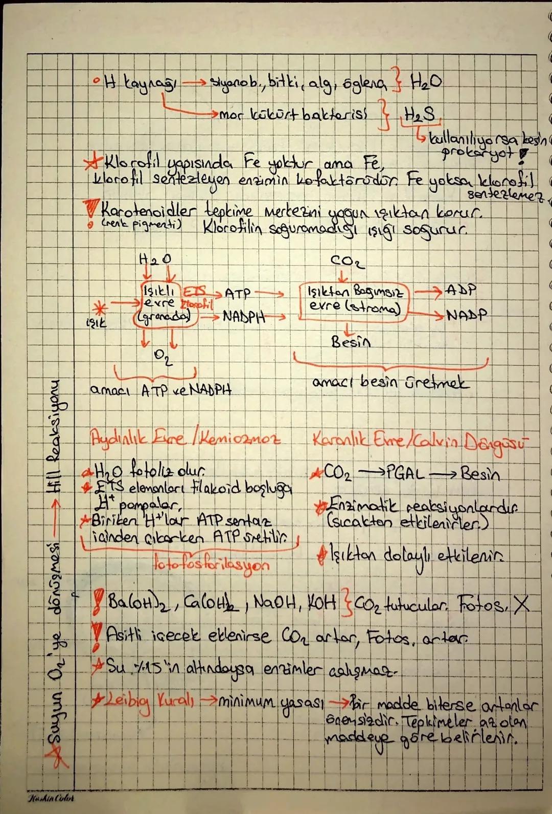 KEMOSENTEZ-FOTOSENTEZN
*KEMOSENTEZ+
1. reaksiyon
O
Prokaryot conlilarda lototrof) görülür.
• inorganik bileşiklerin oksidasyonuyla açığa çık