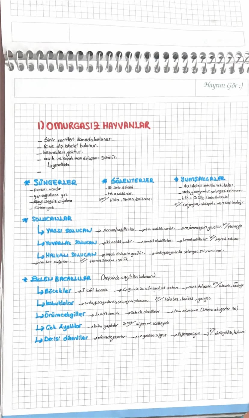 G C C C C C C C B B
Hayrını Gör :)
DOMURGASIZ HAYVANLAR
Sinir seritleri karında bulunur.
- iç ve dış iskelet bulunur.
böbrekleri yoktur.
açı