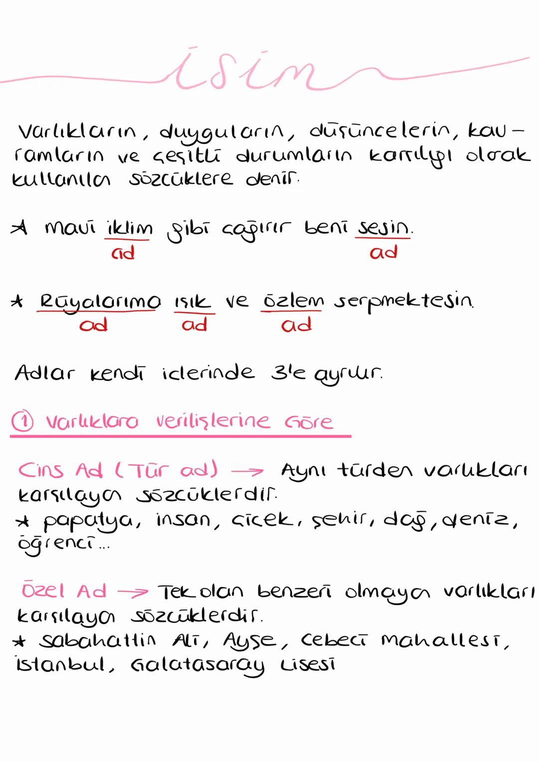 İsimlerin Türleri ve Kullanım Alanları